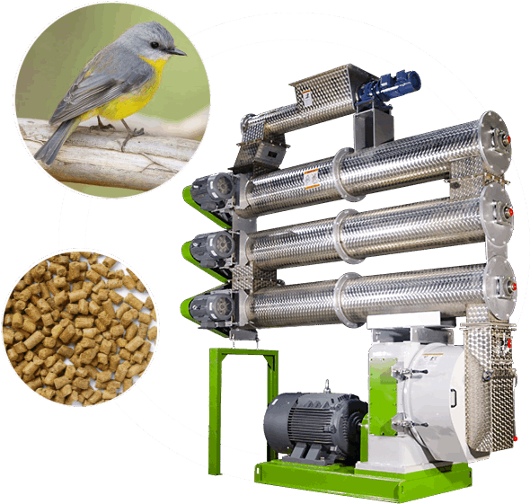 bird feed machine