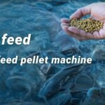Shrimp Feed Pellet Machine: Advancing Aquaculture with Efficient and Sustainable Feed Production
