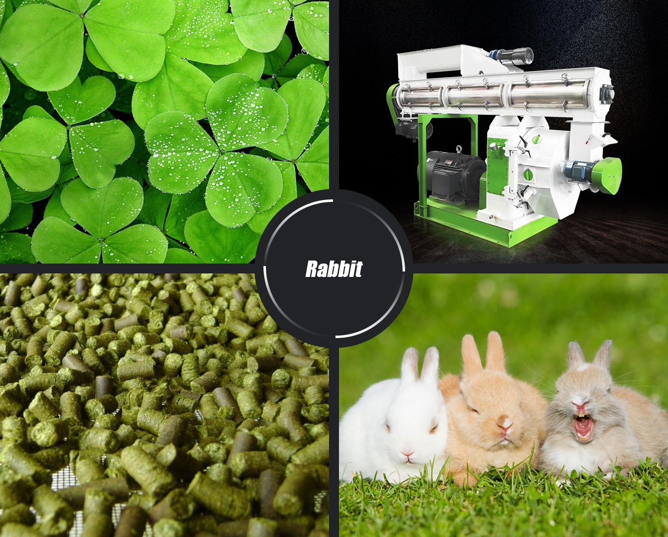 Rabbit Pellet Making Machine