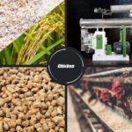 How Poultry Feed Production Improves Farm Efficiency