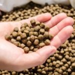 How Aquatic Feed Production Supports Modern Aquaculture
