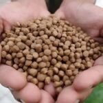 How Aquatic Feed Production Improves Farming Efficiency