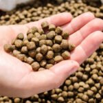 How Fish Feed Extrusion Technology Improves Feed Quality