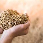 How Cattle Feed Production Technology Improves Feed Quality