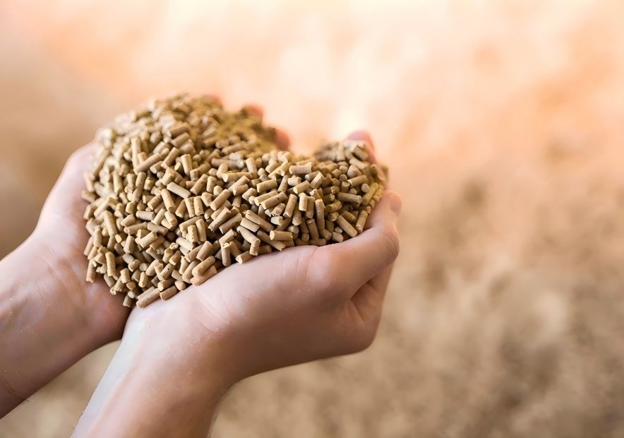 calf feed pellets